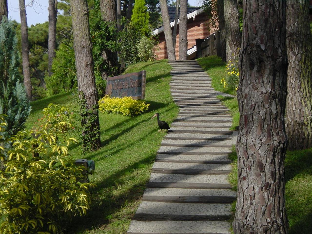 Villa Refugio del Bosque Cariló Exterior foto